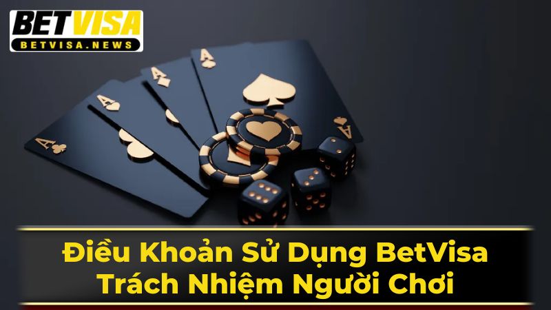 Điều Khoản Sử Dụng BetVisa: Trách Nhiệm Người Chơi 3 Một Số Lưu Ý Quan Trọng Khác Tại BetVisa
