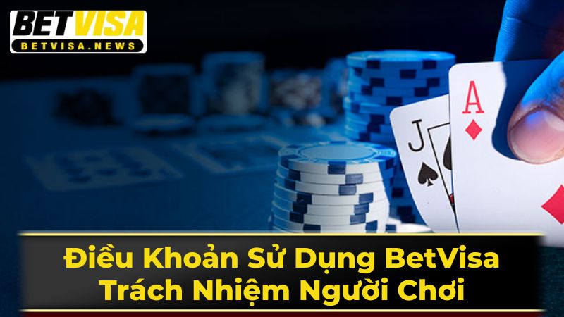 Điều Khoản Sử Dụng BetVisa: Trách Nhiệm Người Chơi 2 Các Điều Khoản Quan Trọng Cần Lưu Ý Tại BetVisa